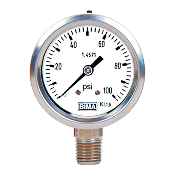 BI 050 DS Gauge