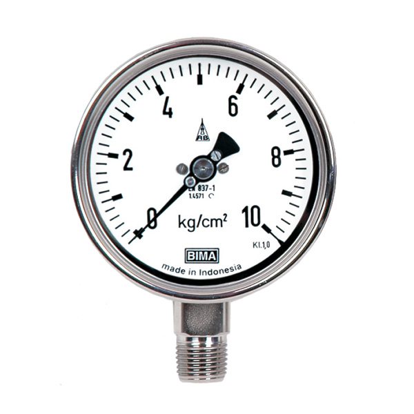 BI 100/160 DS Gauge